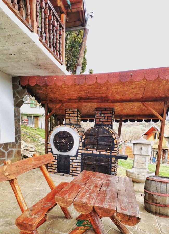 Villa Balconlux - Zavojsko jezero, Pirot Extérieur photo