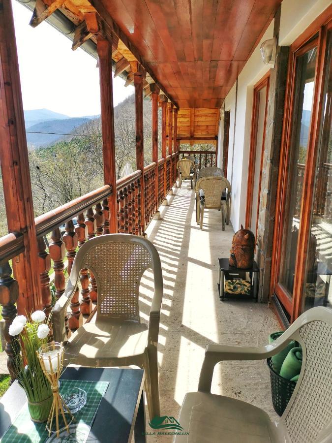 Villa Balconlux - Zavojsko jezero, Pirot Extérieur photo