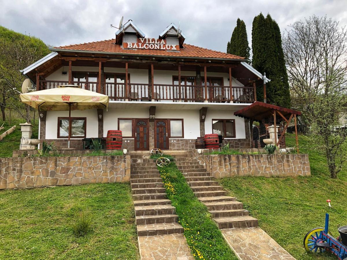 Villa Balconlux - Zavojsko jezero, Pirot Extérieur photo