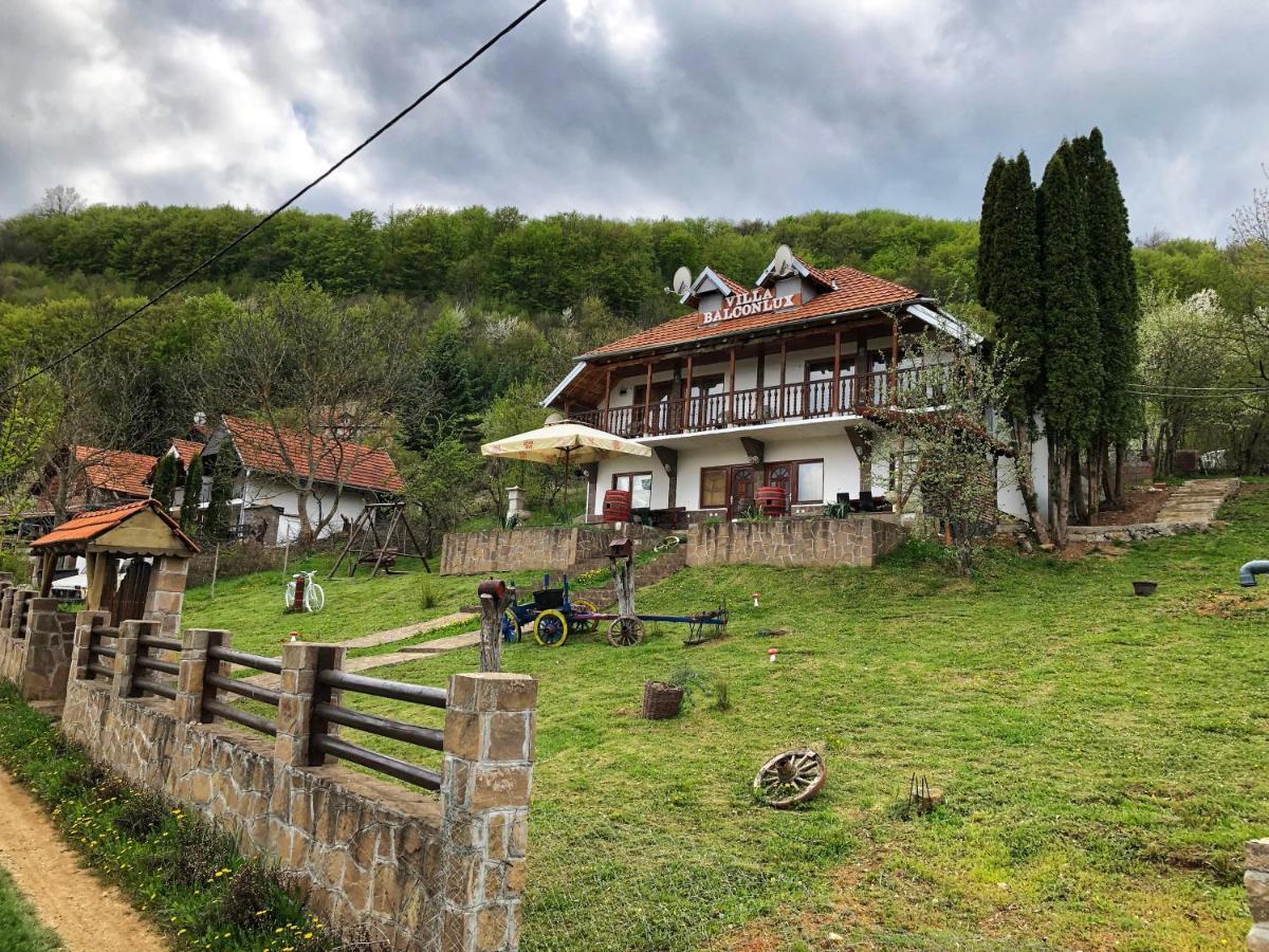 Villa Balconlux - Zavojsko jezero, Pirot Extérieur photo